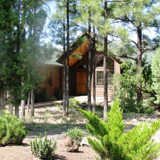260 S Falling Leaf Rd, Show Low AZ 85901